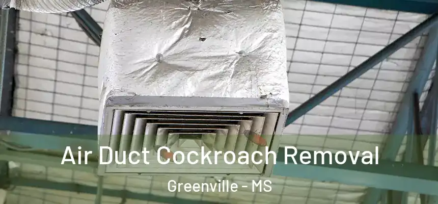  Air Duct Cockroach Removal Greenville - MS