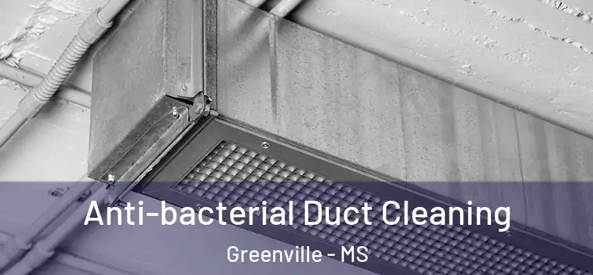  Anti-bacterial Duct Cleaning Greenville - MS