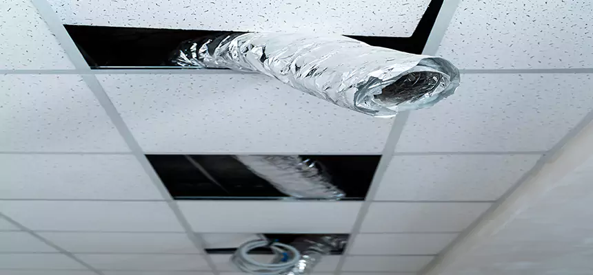 Our Air Duct Pet Hair Removal Services in Greenville, MS