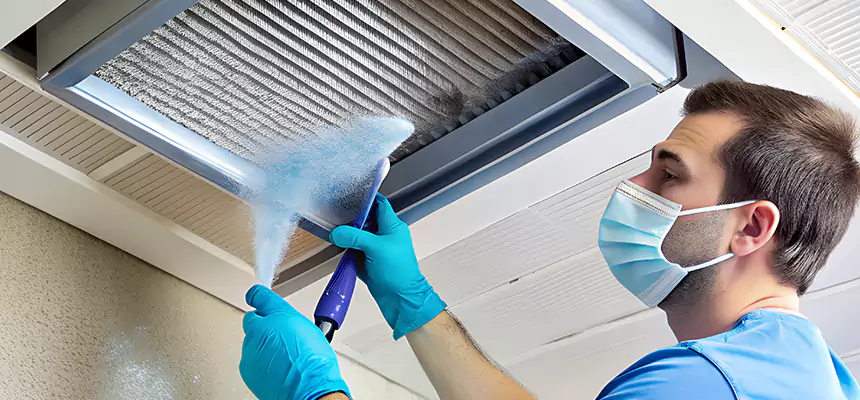 Proactive Dryer Vent & Auxiliary Duct Pollen Cleanup in Greenville, MS