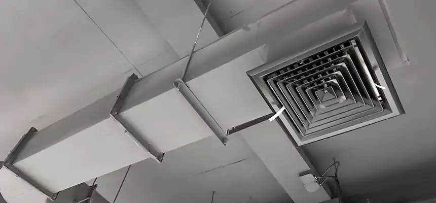 Our Pest Removal From Ducts Services in Greenville, MS