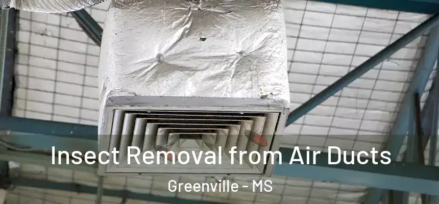  Insect Removal from Air Ducts Greenville - MS