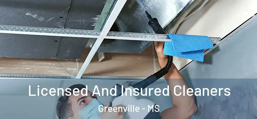 Licensed And Insured Cleaners Greenville - MS