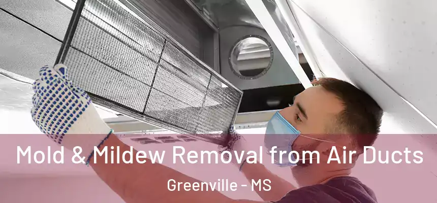  Mold & Mildew Removal from Air Ducts Greenville - MS