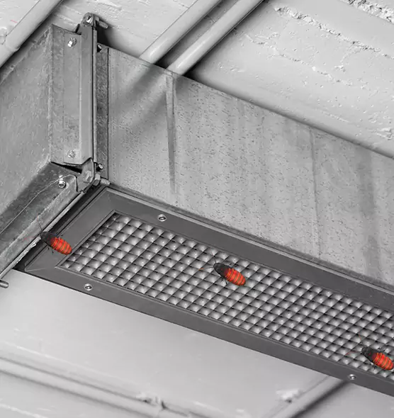 About Air Duct Cockroach Removal in Greenville, MS