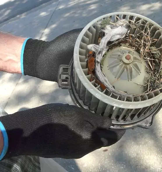 About Air Duct Mice Removal in Greenville, MS