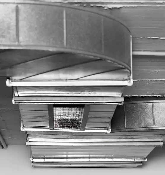 Professional Air Duct Pest Removal in Greenville, MS