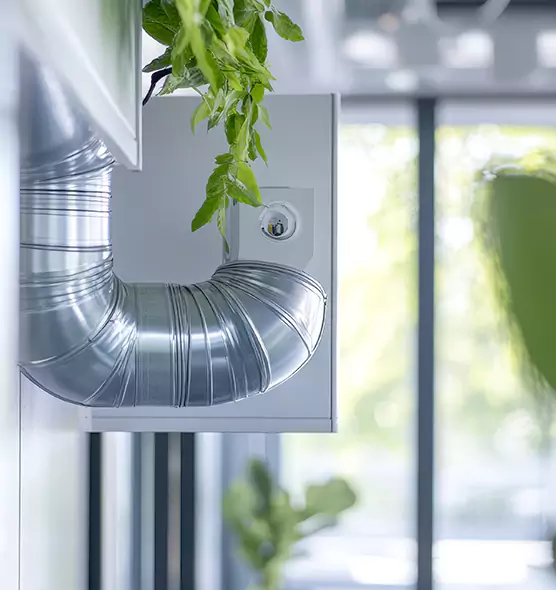 Professional Eco-Safe Dryer Vent Cleaning in Greenville, MS