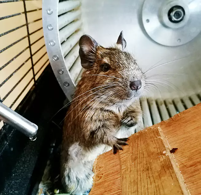 Why Homeowners & Businesses Trust Us Greenville, MS?