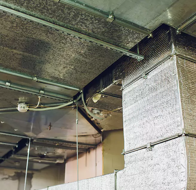 Why Homeowners & Businesses Trust Us in Greenville, MS?